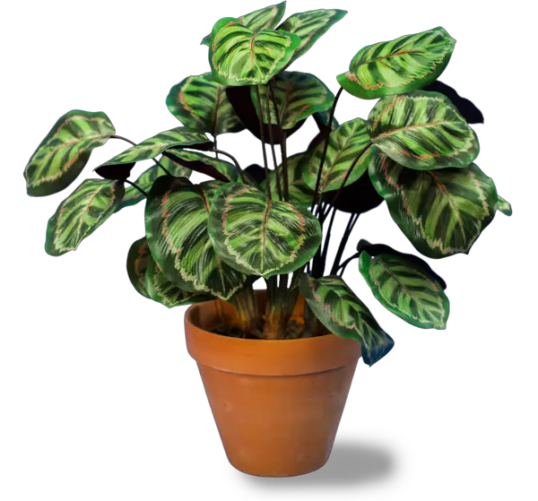 FULL-SERVICE INTERIOR PLANT DESIGN Real Touch